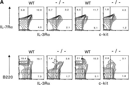 Fig. 1. (A) IL-7R and IL-3R are coexpressed by a minor fraction of wild-type and Jak3-deficient bone marrow cells. Bone marrow cells were obtained from wild-type (WT) or Jak3−/−(−/−) and were stained, fixed, and analyzed by flow cytometry. One hundred and fifty thousand cells were analyzed in a lymphoid gate defined by scatter criteria. (B) Staining with isotype control antibodies for anti–IL-7R and anti–IL-3R antibodies is shown for wild-type and Jak3−/− lymphoid-gated cells from bone marrow. The numbers in each quadrant indicate the percentage of positive cells in total bone marrow.