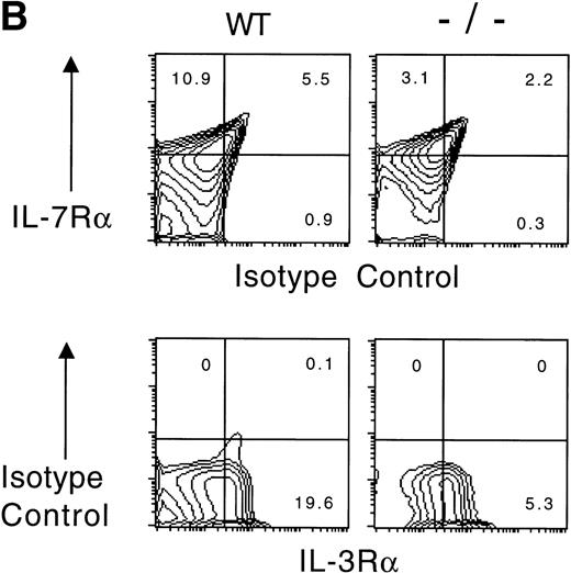 Fig. 1. (A) IL-7R and IL-3R are coexpressed by a minor fraction of wild-type and Jak3-deficient bone marrow cells. Bone marrow cells were obtained from wild-type (WT) or Jak3−/−(−/−) and were stained, fixed, and analyzed by flow cytometry. One hundred and fifty thousand cells were analyzed in a lymphoid gate defined by scatter criteria. (B) Staining with isotype control antibodies for anti–IL-7R and anti–IL-3R antibodies is shown for wild-type and Jak3−/− lymphoid-gated cells from bone marrow. The numbers in each quadrant indicate the percentage of positive cells in total bone marrow.