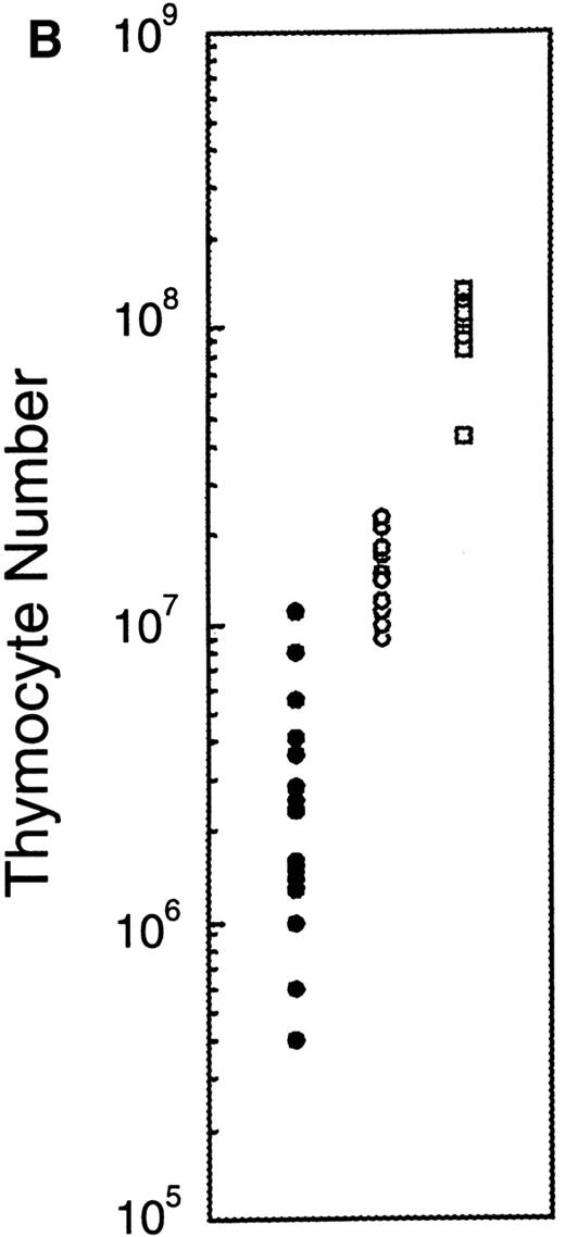 Fig. 3. Effects of IL-3 treatment on lymphoid populations. IL-3–treated Jak3−/− mice have thymic enlargement and increased numbers of thymocytes and peripheral T and B cells. (A) Thymi from 15-day-old mice are shown. (B) Thymocyte number from mice at 2 to 3 weeks of age. Control-treated Jak3−/− mice (•; n = 17), IL-3–treated Jak3−/− littermates (○; n = 16), and Jak3+/+ mice (□; n = 13). (C) Flow cytometric analysis of splenocytes from 3-week-old mice. The percentage of positive cells is shown for each quadrant. This experiment is representative of 4 independent experiments.