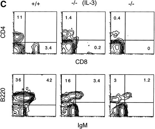 Fig. 3. Effects of IL-3 treatment on lymphoid populations. IL-3–treated Jak3−/− mice have thymic enlargement and increased numbers of thymocytes and peripheral T and B cells. (A) Thymi from 15-day-old mice are shown. (B) Thymocyte number from mice at 2 to 3 weeks of age. Control-treated Jak3−/− mice (•; n = 17), IL-3–treated Jak3−/− littermates (○; n = 16), and Jak3+/+ mice (□; n = 13). (C) Flow cytometric analysis of splenocytes from 3-week-old mice. The percentage of positive cells is shown for each quadrant. This experiment is representative of 4 independent experiments.