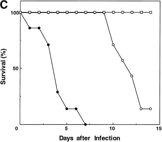 Fig. 5. Effects of IL-3 treatment on lymphocyte function. CD8-mediated cytolytic activity of IL-3–treated Jak3−/− splenocytes after challenge with allogeneic P815 tumor cells. P815 cells were injected into wild-type (+/+) mice, Jak3-deficient (−/−) mice, or Jak3−/− mice receiving IL-3 (IL-3) in the presence or absence (CD8−) of CD8+ T cells. The CTL response from pooled splenocytes was measured 14 days after the administration of P815 cells (n = 2 in each group). Triplicate wells for each sample were analyzed and the mean value is shown. The effector to target ratios of 30:1 (▪) are presented using either (A) allogeneic P815 or (B) syngeneic SVB6KHA target cells. This experiment is representative of 3 independent experiments. (C) Survival of mice after influenza A HKx31 virus infection (n = 7 in each group). Control-treated Jak3−/− mice (−/−; •), IL-3–treated Jak3−/− littermates (−/− IL-3; ○), and Jak3+/+ mice (+/+; □).
