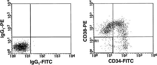 Fig. 1. A representative FACS profile of normal adult human lin− bone marrow cells after staining with CD34-FITC and CD38-PE. Lineage marker-positive cells were removed using a StemSep column and the flow through (lin−) cells were then labeled. Dead (PI+) cells were excluded from the analysis. The left panel shows the level of nonspecific staining obtained with isotype control antibodies. The right panel shows the result obtained after staining with anti-CD34-FITC and anti-CD38-PE.