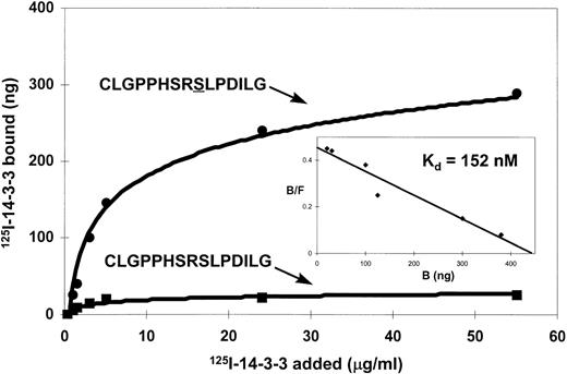 Fig. 7. Binding of 125I-labeled 14-3-3ζ to synthetic peptides corresponding to the 14-3-3 binding region of βc. Microtiter wells were coated with synthetic peptides CLGPPHSRSLPDILG either nonphosphorylated or phosphorylated on the second serine (underlined). Various concentrations of125I-labeled recombinant 14-3-3ζ protein were added to microtiter wells and incubated at 22°C for 2 hours. (Insert) Scatchard analyses of 14-3-3 interaction with the serine-phosphorylated peptide.