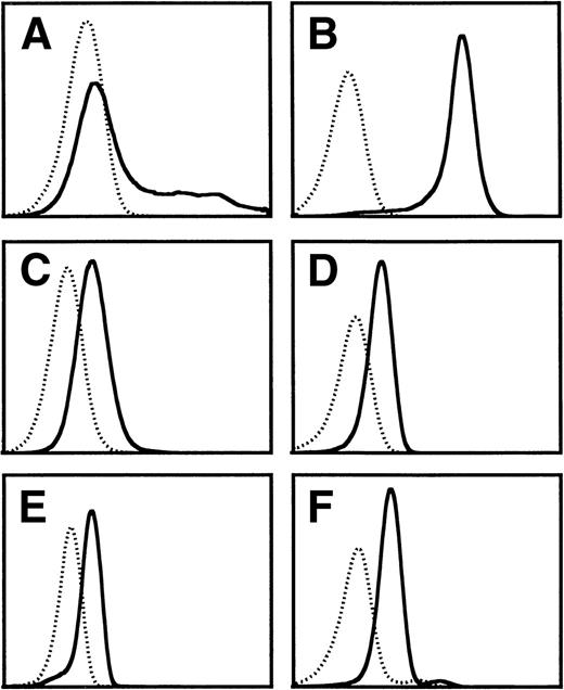 Fig. 1. Flow cytometry analysis of the staining of MoAb BION-1 (solid line) and an isotype-matched IgG1 control MoAb (dotted line) to (A) COS cells transiently transfected with βc, (B) CHO cells constitutively expressing βc, (C) TF-1.8 cells, (D) neutrophils, (E) eosinophils, and (F) monocytes.