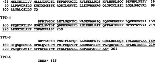 Fig. 4. Deduced amino acid sequences of TPO-4, TPO-5, and TPO-6. 5′ terminal sequences down to Gln-111 are common with TPO-1 (top). TPO-4 and TPO-5 contain the same sequence derived due to the frameshift (underlined).