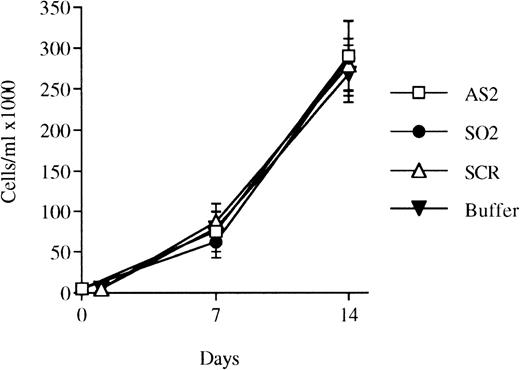 Fig. 4. Effects of oligonucleotides on the proliferation of bone marrow cells selected for CD34 expression and incubated with FL plus IL-3. CD34+ cells were seeded at a concentration of 5,000 cells/mL and incubated in medium supplemented with FL at 50 ng/mL and IL-3 at 25 ng/mL to promote monocytic growth. On days 0, 5, and 10, antisense RB oligonucleotides (AS2), sense-orientated oligonucleotides (SO2), scrambled oligonucleotides (SCR), or oligo buffer, respectively, were added at a concentration of 5 μmol/L. On days 7 and 14, cells were counted. Results shown represent the mean values from 3 separate experiments (bars ± SEM). Results from SCR are from 2 independent experiments. Viability was always greater than 90% (data not shown).