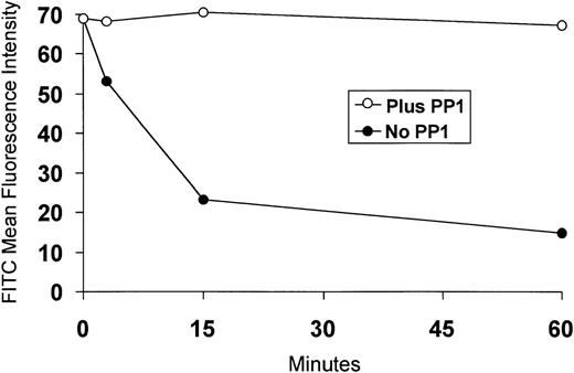 Fig. 4. PP1 inhibits SCF-induced internalization of c-Kit. MO7e cells were preincubated without PP1 (◍) or with PP1 (○) for 30 minutes at 37°C, then SCF (200 ng/mL) was added. Aliquots of cells were removed at time 0, 3, 15, and 60 minutes after the addition of SCF, fixed in 0.5% paraformaldehyde, labeled with the anti–c-Kit MoAb 104D2, followed by PE-conjugated goat antimouse IgG, and analyzed by flow cytometry. The MO7e cells incubated in the absence of PP1 exhibited a PE mean fluorescence intensity at time 0 identical to that of the MO7e cells incubated in the presence of PP1. One additional experiment gave similar results.