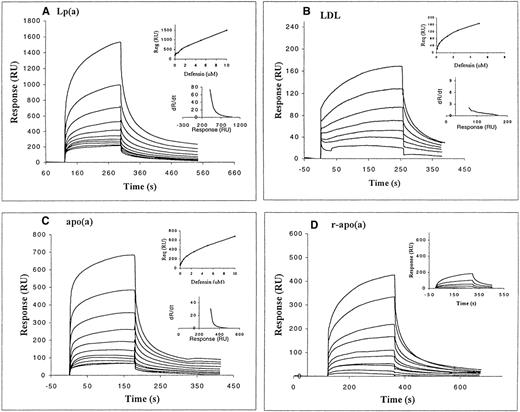 Fig. 5. Binding of defensin to Lp(a) and its components assessed using the optical biosensor. Defensin (9 nmol/L to 10 μmol/L) was incubated with immobilized Lp(a) (5,000 RU; A) or its components: LDL (445 RU; B), native apo(a) (1,400 RU; C), and recombinant apo(a) (900 RU; D). The interaction of defensin with a high surface density of immobilized BSA (2,400 RU) is shown in the insert to (D). Both the association and dissociation phases are shown. The inserts in (A) through (C) show both dR/dt × R plots (at 5 μmol/L defensin) and the binding isotherms at equilibrium to each component.