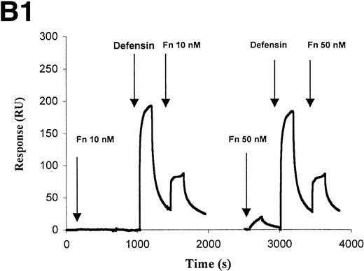 Fig. 8. Defensin stimulates the binding of Lp(a) to purified fibronectin. (A) Solid-phase radioligand binding. Microtiter wells were coated with 5 μg/mL fibronectin (▩) or BSA (□), unreactive sites were blocked with 0.3% BSA, and the binding of125I-Lp(a) (10 nmol/L) alone or in the presence of the indicated concentrations of defensin was measured. The mean ± SD of 2 experiments performed in triplicate is shown. (B) Surface plasmon resonance. (B1) Immobilized apo(a) (960 RU) was incubated with fibronectin alone (10 and 50 nmol/L) or after preincubation of the chip with 5 μmol/L defensin. The surface was regenerated at 2,000 seconds, ie, between the 2 sets of incubation with fibronectin. (B2) Immobilized Lp(a) was preincubated with defensin (0, 312, 625, 1,250, and 2,500 nmol/L; sensorgrams 1 through 5, respectively), the chip was washed for 3 minutes, and fibronectin was injected at the indicated concentrations with the appropriate wash steps between injections. Binding of fibronectin to Lp(a) was not detected at concentrations of defensin below 0.625 μmol/L.