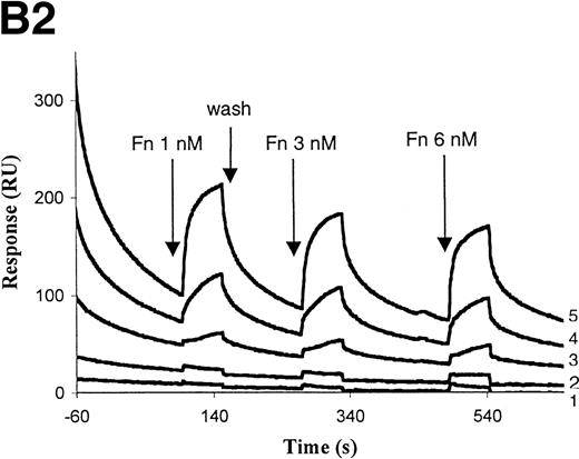 Fig. 8. Defensin stimulates the binding of Lp(a) to purified fibronectin. (A) Solid-phase radioligand binding. Microtiter wells were coated with 5 μg/mL fibronectin (▩) or BSA (□), unreactive sites were blocked with 0.3% BSA, and the binding of125I-Lp(a) (10 nmol/L) alone or in the presence of the indicated concentrations of defensin was measured. The mean ± SD of 2 experiments performed in triplicate is shown. (B) Surface plasmon resonance. (B1) Immobilized apo(a) (960 RU) was incubated with fibronectin alone (10 and 50 nmol/L) or after preincubation of the chip with 5 μmol/L defensin. The surface was regenerated at 2,000 seconds, ie, between the 2 sets of incubation with fibronectin. (B2) Immobilized Lp(a) was preincubated with defensin (0, 312, 625, 1,250, and 2,500 nmol/L; sensorgrams 1 through 5, respectively), the chip was washed for 3 minutes, and fibronectin was injected at the indicated concentrations with the appropriate wash steps between injections. Binding of fibronectin to Lp(a) was not detected at concentrations of defensin below 0.625 μmol/L.