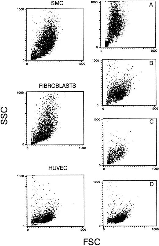 Fig. 2. Forward and side scatters of SMCs, fibroblasts, and HUVECs. (A) A mixed population of SMCs (90%) and endothelial cells from AMEC (10%); (B) from fibroblasts (70%) and AMEC (30%); (C) from fibroblasts (40%) and AMEC (60%); and (D) from pure AMEC population (AMEC-1 or AMEC-2 after 2 or 3 passages).
