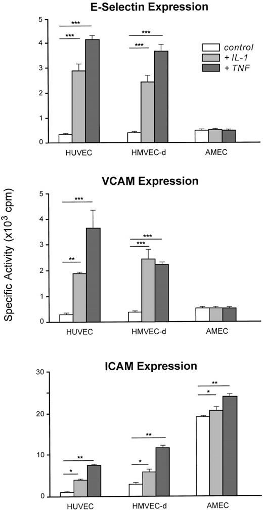 Fig. 6. Adhesion molecule (E-selectin, VCAM-1, ICAM-1) expression on HUVEC (n = 6), HMVEC-d (n = 6), and AMEC (n = 6) under basal conditions or induced by IL-1β (100 U/mL) and TNF- (500 U/mL). The results are expressed as means and bars denote standard deviation (*P < .05, **P < .01, ***P < .001). For AMEC, the results are expressed as means of AMEC-1 and AMEC-2 (passage 3).