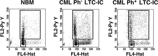 Fig. 1. Representative examples of Hst and Py staining of viable CD34+ cells from normal marrow (left) and from CML patients with predominantly Ph− (middle, no. 2) or Ph+ (right, no. 3) LTC-IC.