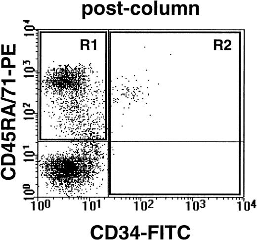 Fig. 4. Example of human CD34− cells (expressing either CD45RA or CD71) and human CD34+ cells obtained from the marrow of a NOD/SCID-β2M−/−mouse transplanted 6 weeks previously with 105G0 cells from CML no. 5. Cells were first depleted of coexisting mouse cells by immunodepletion as described in Materials and Methods.