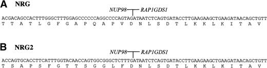 Fig. 3. Nucleotide and amino acid sequences around the junctions of the (A) NRG and (B) NRG2 fusion transcripts (Genbank accession nos.AF133331 and AF133333, respectively).