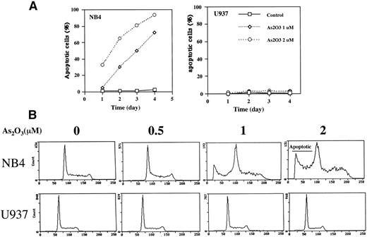 Fig. 1. Comparison of apoptosis induction by As2O3 in NB4 versus U937 cells. (A) Fluorescence microscopy determination of apoptotic cells. Cells were treated with either 0 (control), 1, or 2 μmol/L As2O3 for up to 4 days, and the number of apoptotic cells was determined by fluorescence microscopy according to the morphology. The results are expressed as the percentage of apoptotic cells in the culture. Values shown are the mean of triplicate determinations with a standard deviation of less than 10%. (B) FACS analysis of apoptotic cells. Cells were treated for 3 days with the indicated concentrations of As2O3 and then evaluated for DNA content after propidium iodide staining. (C) TUNEL assay to determine apoptotic cells. Cells were treated with As2O3 at the indicated time for 3 days.