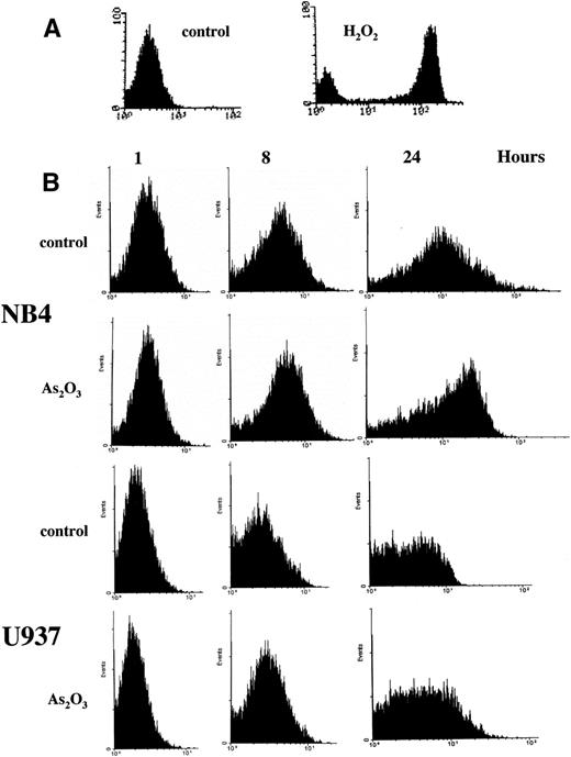 Fig. 2. FACS scan analysis of H2O2accumulation. (A) NB4 cells were labled with DCFH-DA fluorescent probe for 1 hour and then treated with or without 50 μmol/L H2O2 for 1 hour as a positive control. (B) NB4 and U937 cells were treated with 1 μmol/L As2O3 for the indicated times, with DCFH-DA fluorescent probe being added 1 hour before the addition of As2O3. The oxidized DCF was analyzed by FACS.