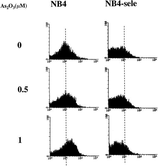 Fig. 3. FACS analysis of H2O2accumulation in NB4 and selenite-pretreated NB4 cells. NB4 cells were pretreated without (NB4) or with 100 nmol/L sodium selenite for 9 days (NB4-sele) and then treated with the indicated concentrations of As2O3 for 24 hours. DCFH-DA was added 1 hour before the addition of As2O3, and the oxidized DCF was analyzed by FACS.