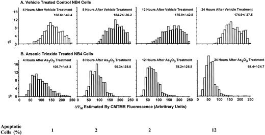 Fig. 4. Decrease in mitochondrial membrane potential (▵ΨM) in NB4 cells treated with As2O3. The ▵ΨM of individual mitochondria was detected using confocal microscopy imaging of CMTMR fluorescence. NB4 cells were treated with 1 μmol/L As2O3 for the indicated times.