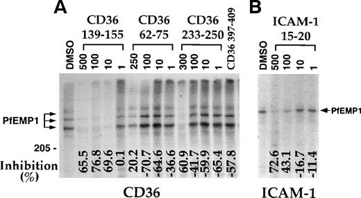 Fig. 2. Concentration-dependent inhibition of binding of125I-PfEMP1 to CD36 and ICAM-1. (A) Inhibition of binding to CD36 using MC R+ SDS extract was performed as in Fig1. Peptide concentration is given in μmol/L. The concentration of peptide CD36 397-409 was 500 μmol/L. (B) Inhibition of binding to ICAM-1 using ItG-ICAM SDS extract was performed as in Fig 1, except that the peptides were preincubated with the extract for 1 hour at room temperature. Peptide concentration is given in μmol/L and all samples (except No DMSO) had a 5% final concentration of DMSO. The percent inhibition of binding from the DMSO control is indicated at the bottom of the figure.