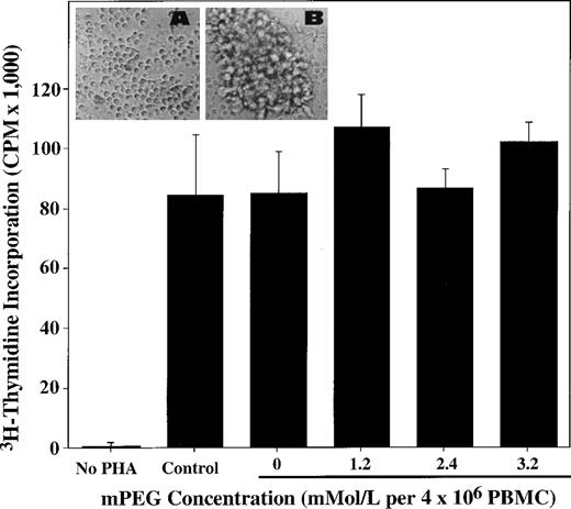 Fig. 4. No differences are observed in T-cell proliferation when control and mPEG-modified PBMC are exposed to the mitogen PHA. Cell proliferation is measured by 3H-thymidine incorporation into the DNA of PBMC (2.5 × 105 PBMC) in response to PHA stimulation for the duration of the 4-day culture (see Materials and Methods). The results shown are the mean ± SD of triplicate samples from a representative experiment of 4 independent studies. Insert: Photomicrographs of mPEG-derivatized lymphocytes (1.2 mmol/L mPEG per 4 × 106 PBMC) without PHA treatment (A) and with PHA treatment (B) after 4 days of culture.