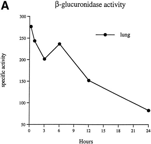 Fig. 3. β-Glucuronidase–specific activities (nanomoles of substrate cleaved per hour per milligram of protein) are shown in the lung (A), liver, spleen, and bone marrow (B) at 15 minutes, 1 hour, 3 hours, 6 hours, 12 hours, and 24 hours after injection of 1 × 107 donor peritoneal macrophages.