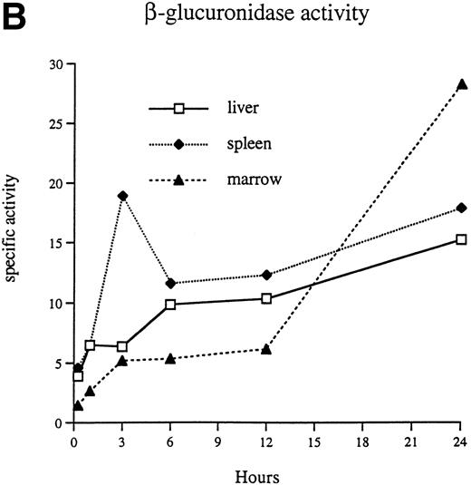 Fig. 3. β-Glucuronidase–specific activities (nanomoles of substrate cleaved per hour per milligram of protein) are shown in the lung (A), liver, spleen, and bone marrow (B) at 15 minutes, 1 hour, 3 hours, 6 hours, 12 hours, and 24 hours after injection of 1 × 107 donor peritoneal macrophages.