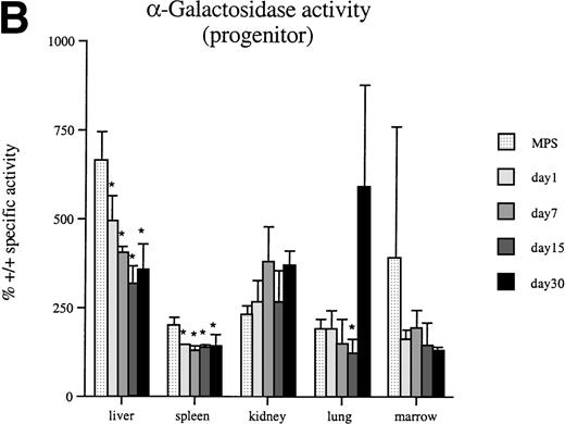Fig. 5. Thirty days after a single injection of 1 × 107 β-glucuronidase–positive macrophages into adult MPS VII mice, -galactosidase levels are significantly decreased in several tissues. A significant decrease is produced by both peritoneal-(A) and progenitor-derived (B) cells. An asterisk (*) indicates a significant (P < .05) decrease in specific activity compared with untreated MPS VII (MPS) mice.