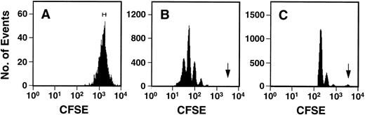 Fig. 1. Representative FACS profiles of CFSE-stained cord blood cells before (A) and after (B and C) culture for 5 days in the presence of IL-3, IL-6, SCF, G-CSF, and FL. The initial sort gate used to isolate the cells placed in culture is indicated in (A). The arrows in (B) and (C) indicate the persisting undivided cells identified by comparison to a control aliquot of the cells cultured under the same conditions but in the presence of colcemid to suppress cell division. The profile shown in (C) was derived by gating on the highly fluorescent (CFSE+) cells to allow a better discrimination of the undivided population.
