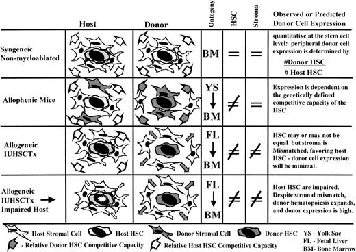 Fig. 1. Experimental models with biologic relevance for IUHSCTx.