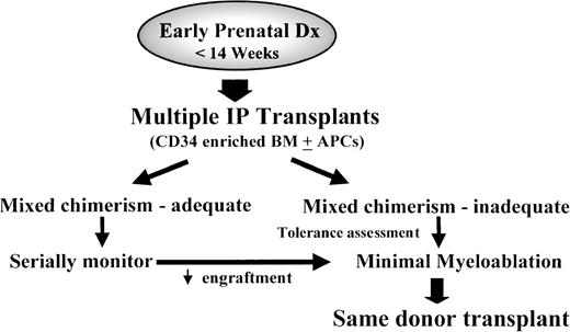 Fig. 3. Strategy of combined IUHSCTx and minimally myeloablative same-donor postnatal SCT. This strategy presupposes the use of adult-derived donor cells and is dependent on specific tolerance induction and, presumably, the establishment of at least minimal donor HSC engraftment. Methods to improve the efficiency of tolerance induction such as cotransplantation of donor-derived antigen-presenting cells (APCs) may prove useful in the future. If effective, this strategy could be rationally applied to diseases ameliorated by low or moderate levels of mixed hematopoietic chimerism and, potentially, to any disease effectively treated by postnatal SCT in which a matched sibling donor is not available.