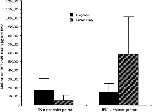 Fig. 1. Effect of IFN- treatment on the levels of hybrid BCR/ABL mRNA in bone marrow mononuclear cells from CML patients with complete or poor hematologic responses to therapy. For each patient, values have been adjusted for the percentage of Ph+ cells. At diagnosis, the amount of transcript was similar in the 2 groups of patients; there was a significant difference (P < .01, paired t-test) between the values at diagnosis and those at the end of the study in the group of responder patients, whereas in patients resistant to IFN-, there was a trend toward higher values at the end of the study.