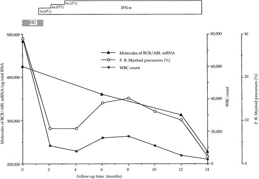 Fig. 2. Progressive decline of hybrid BCR/ABL mRNA molecules in bone marrow mononuclear cells from a CML patient (no. 1 in Table 2) who had a complete hematologic response after IFN- therapy. BCR/ABL values are corrected for the percentage of Ph+cells.