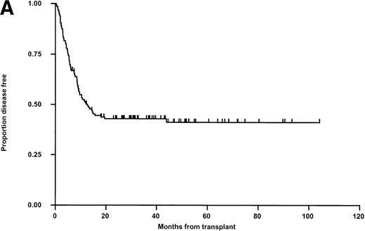 Fig. 2. Kaplan-Meier plots of LFS for (A) the whole group, (B) matched (M) versus mismatched (MM) transplants, and (C) LFS according to remission status. No statistically significant differences were seen. Tick marks indicate censoring.
