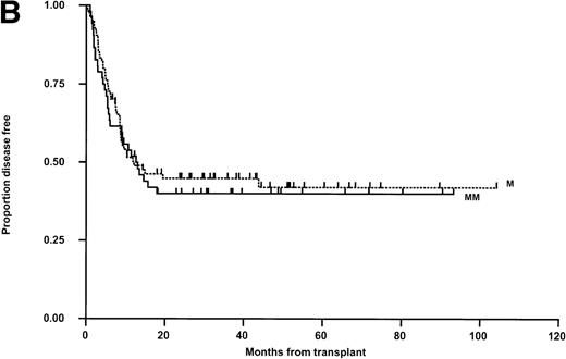 Fig. 2. Kaplan-Meier plots of LFS for (A) the whole group, (B) matched (M) versus mismatched (MM) transplants, and (C) LFS according to remission status. No statistically significant differences were seen. Tick marks indicate censoring.