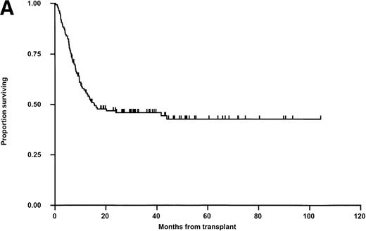 Fig. 4. Kaplan-Meier plots of OS for (A) the whole group, (B) matched (M) versus mismatched (MM) transplants, and (C) OS according to remission status. No statistically significant differences were seen. Tick marks indicate censoring.