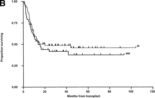 Fig. 4. Kaplan-Meier plots of OS for (A) the whole group, (B) matched (M) versus mismatched (MM) transplants, and (C) OS according to remission status. No statistically significant differences were seen. Tick marks indicate censoring.