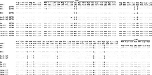 Fig. 3. Comparison of IgH sequence among different lesions. PG1, first parotid gland biopsy; PG2, second parotid gland biopsy; Neck-LN, neck lymph node; Sp, spleen; Sp-FC, spleen CD10+ follicle center cells; IPLN-FC, CD10+ follicle center cells of the intraparotid lymph node in the second parotid biopsy. The number in brackets shows the number of common clones of the number of total tumor clones sequenced. Identity to the germline sequences is shown by dashes, replacement mutations by uppercase, and silent mutations by lowercase letters.