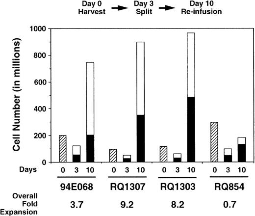 Fig. 2. Ex vivo expansion of rhesus lymphocytes. The numbers of lymphocytes decreased for the first 3 days. Thereafter, the cell numbers increased and the overall expansion is shown. The expansion was equivalent for both AAV- (□) and retrovirus-transduced (▪) aliquots.