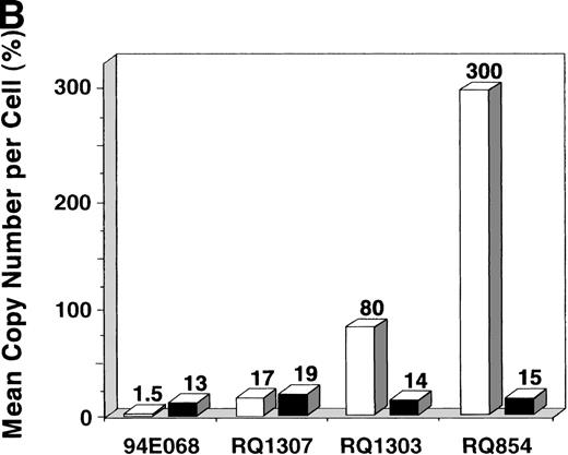 Fig. 3. In vitro transduction efficiencies. (A) Semi-quantitative PCR for the β-gal and actin sequences was performed at the end of the ex vivo culture period. The β-gal is the vector sequence and the actin is the control sequence. (B) The graph summarizes the in vitro transduction efficiencies shown as a mean copy number per cell, calculated from the PCR results. The MOI used was different among monkeys. 94E068 had 2,000, RQ1307 and RQ1303 had 20,000, and RQ864 had 200,000 AAV genomic copies per lymphocyte. (□), AAV; (▪), retrovirus.