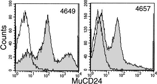 Fig. 3. Flow cytometry detection of mCD24+ cells in the white blood cell buffy coat fraction of peripheral blood at about 6 weeks posttransplant with CD34+ PBSC transduced with MFGS-mCD24 (shaded histograms). The erythrocytes in a sample of whole blood were lysed and the leukocytes labeled with anti-mCD24 as outlined in Materials and Methods. The level of background labeling is delineated by similar analysis of whole blood leukocytes from a nontransplanted control animal (open histograms).
