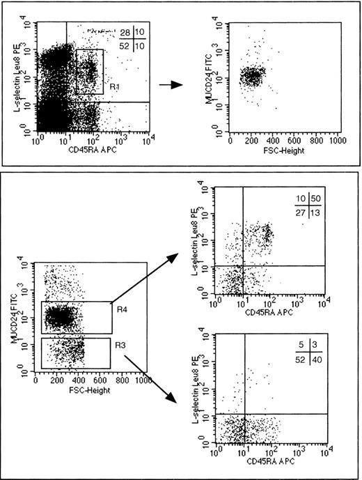 Fig. 7. Flow cytometry detection of mCD24 expression by peripheral blood CD3+ naı̈ve and memory T lymphocytes at about 3 to 4 weeks after transplantation with autologous CD34+ PBSC transduced with MFGS-mCD24. For all of the dot-plot analyses shown in this figure, an initial collection gate was established to analyze only CD3+ T lymphocytes. For subsequent analyses, naı̈ve T lymphocytes are defined as those simultaneously expressing CD62L (L-selectin Leu8) and CD45RA surface antigens. In all of the dot plots divided into 4 quadrants by lines defining positive from negative labeling by the indicated antibody, the numbers in those quadrants refer to the percent of the cells analyzed in that plot that fall within the indicated quadrant. In the top boxed panel a naı̈ve T-lymphocyte subset is defined in the lefthand dot plot by the R1 gate. When naı̈ve T cells in this R1 gate are further analyzed for expression of the transduced mCD24 gene product (MUCD24 on the vertical axis) in the righthand dot plot of the top boxed panel, almost all such cells are shown to be mCD24+. The FSC on the horizontal axis of this dot plot refers to forward scatter, a rough measure of cell size, and this parameter is used here merely to allow the presentation of the data in a dot-plot format. The converse analysis is shown in 3 dot plots contained within the bottom boxed panel of this figure. The lefthand dot plot in the bottom panel defines analysis gates containing mCD24+ T lymphocytes (R4) or mCD24− T lymphocytes (R3). As indicated by the arrows pointing from R4 or R3, cells contained within either of these gates were further analyzed to delineate naı̈ve T cells from memory T-cell subsets.