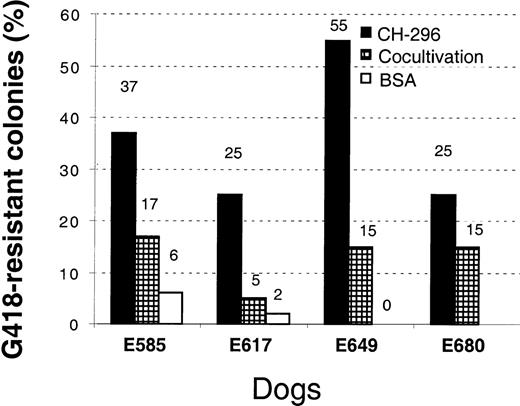 Fig. 1. G418-resistant CFU-C after transduction of canine CD34-enriched marrow cells and before transplantation. The bars represent the different transduction conditions: transduction on CH-296 or BSA, or transduction by cocultivation on vector-producing cells. The numbers are means from triplicate analyses.