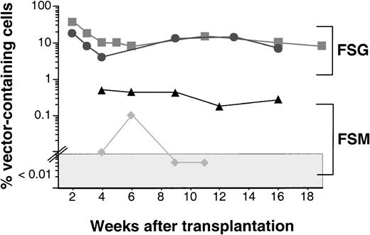 Fig. 5. Summary of gene transfer levels in dogs transplanted with gene-modified CD34-enriched marrow cells. Dogs E585 (▴) and E617 (⧫) received gene-modified cells transduced in the presence of FLT3L, cSCF, and MGDF (FSM), and dogs E649 (▪) and E680 (•) received cells transduced in the presence of FLT3L, cSCF, and cG-CSF (FSG). PCR-negative samples (<0.01%) are plotted in the shaded area. The difference between the 2 groups is statistically significant, P= .02 (Student’s t-test).