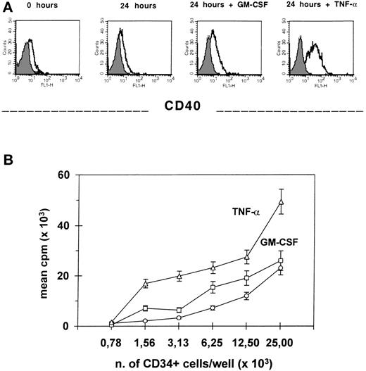 Fig. 3. Preincubation with TNF- increases CD34+blood cell alloantigen-presenting function. Freshly isolated CD34+ blood cells were either stained with CD40 MoAb or incubated for 24 hours with medium alone, TNF-, or GM-CSF, then washed and evaluated both for CD40 expression by flow cytometry (A) and, after irradiation, for their capacity of stimulating allogeneic MNC in primary MLC with 5 × 104 responders at different stimulator/responder ratios (B). Results are the mean cpm ± SEM of triplicate cultures. At 1:2 stimulator/responder ratio, the differences of the alloresponse to CD34+ blood cells preincubated with TNF- versus GM-CSF and medium, are both significant (P = .01).