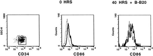Fig. 4. Triggering of CD40 increases the expression of CD86 on CD34+ blood cells. Immunomagnetically separated CD34+ blood cells were stained with HPCA-2 (anti-CD34)–PE and anti–CD86-FITC MoAbs, or isotype control, immediately after isolation (0 hrs) and after 40 hours in liquid culture with B-B20 (anti-CD40) MoAb. CD34+ cells were gated for analysis and histograms represent staining with FITC-labeled isotype control (dashed line) and staining with CD86 FITC-labeled MoAb (solid line).