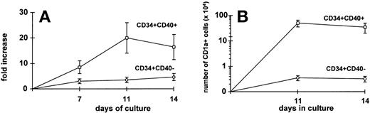 Fig. 8. High expansion of DC from CD34+CD40+ blood cells. Purified CD34+CD40+ and CD34+CD40− blood cells were grown in liquid culture in the presence of GM-CSF, TNF-, SCF, and FLT-3L for 14 days (see Materials and Methods). The total expansion of each cell fraction at 7, 11, and 14 days is shown in the left quadrant (A), while the absolute number of CD1a+ cells derived from each cell subset at 11 and 14 days of culture is shown in the right quadrant (B). Results are represented as the mean ± SEM values of 3 separate experiments. After 11 or 14 days of culture, there is a 2-log difference in absolute number of CD1a+ cells among CD34+CD40+ versus CD34+CD40− blood cells (P = .07).