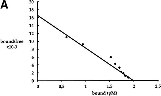Fig. 5. Semaphorin III binding to MS-5 cells. Sub-confluent MS-5 cells were treated for 90 minutes with different concentrations of semaIII-AP. Then, AP activity from bound semaIII-AP was measured colorimetrically (see Materials and Methods for details). Specific binding was determined by substraction of values obtained from binding to MS-5 cells and to COS cells. COS cells do not express neuropilin-1 and are unable to bind semaIII-AP.8 (A) Scatchard’s analysis. The values shown are an average of 3 different assays. Linear regression analysis of values showed that MS-5 cells express 2,500 binding sites per cell and bind Semaphorin III with a kd of 1.2 × 10−10 mol/L. (B) MS-5 cells were incubated with concentrated conditioned medium containing 5 ng/mL of semaIII-AP in the absence or in the presence of indicated concentrations of VEGF 165. Values shown are an average of 2 different assays. Reaction time for AP activity detection was 3 hours.