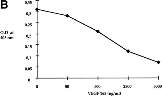 Fig. 5. Semaphorin III binding to MS-5 cells. Sub-confluent MS-5 cells were treated for 90 minutes with different concentrations of semaIII-AP. Then, AP activity from bound semaIII-AP was measured colorimetrically (see Materials and Methods for details). Specific binding was determined by substraction of values obtained from binding to MS-5 cells and to COS cells. COS cells do not express neuropilin-1 and are unable to bind semaIII-AP.8 (A) Scatchard’s analysis. The values shown are an average of 3 different assays. Linear regression analysis of values showed that MS-5 cells express 2,500 binding sites per cell and bind Semaphorin III with a kd of 1.2 × 10−10 mol/L. (B) MS-5 cells were incubated with concentrated conditioned medium containing 5 ng/mL of semaIII-AP in the absence or in the presence of indicated concentrations of VEGF 165. Values shown are an average of 2 different assays. Reaction time for AP activity detection was 3 hours.
