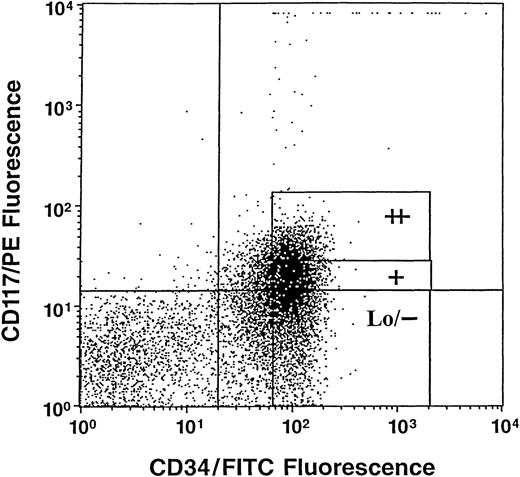 Fig. 1. Representative analysis of c-kit (CD117)/PE and CD34/fluorescein isothiocyanate (FITC) immunofluorescence on gated high densities of CD34+ (CD34+++) cells. Sorting windows shown as ++, +, and Lo/− are for CD34+++ kit++, kit+, and kitLo/− cells, respectively.
